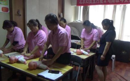 北京月嫂公司排行榜,揭秘行业佼佼者