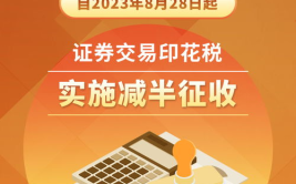 证券交易,市场动态与投资策略解析