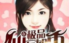 极品仙医,极品仙医的传奇之旅
