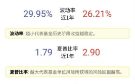 华夏复兴基金,稳健增长的投资选择与策略解析