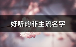 非主流好听的网名,网名中的青春印记